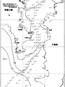 東京湾口海況図(2017/11/24)