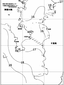 東京湾口海況図(2017/11/25)