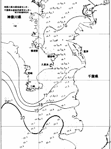 東京湾口海況図(2017/12/01)