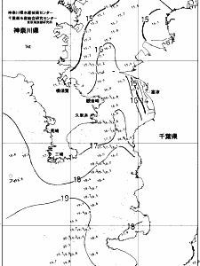 東京湾口海況図(2017/12/08)