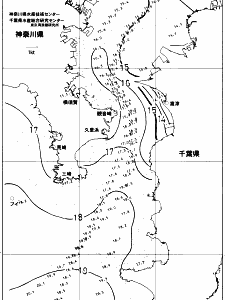 東京湾口海況図(2017/12/12)