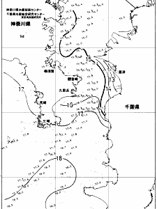 東京湾口海況図(2017/12/13)