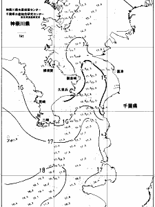 東京湾口海況図(2017/12/17)