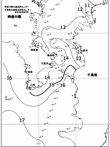東京湾口海況図(2017/12/26)