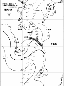 東京湾口海況図(2017/12/30)