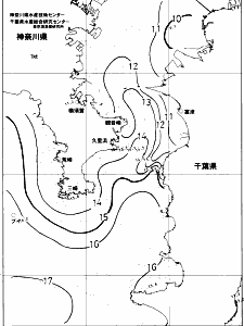 東京湾口海況図(2018/01/06)