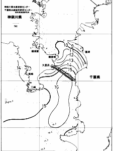 東京湾口海況図(2018/02/07)