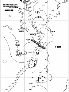 東京湾口海況図(2018/03/04)