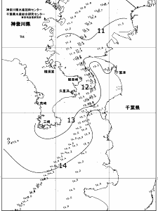 東京湾口海況図(2018/03/09)