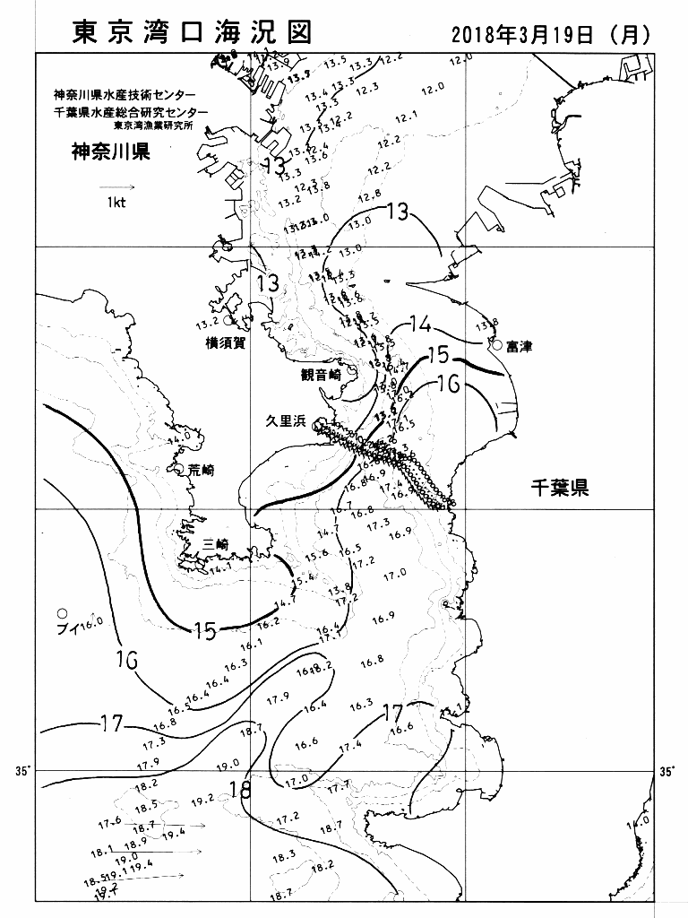 海況図, 東京湾口海況図 検索結果, (水温分布 等を図示)
