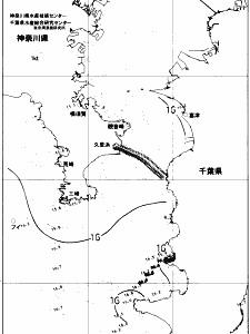 東京湾口海況図(2018/04/19)