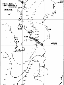 東京湾口海況図(2018/05/11)