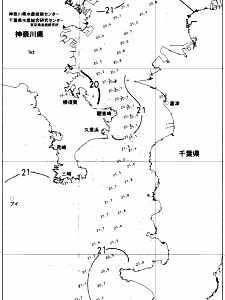 東京湾口海況図(2018/05/29)