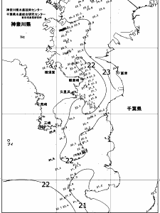 東京湾口海況図(2018/06/05)