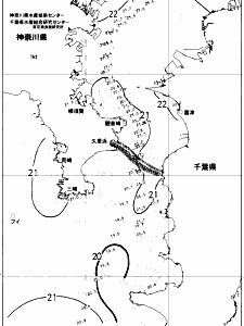 東京湾口海況図(2018/06/12)