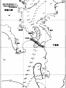 東京湾口海況図(2018/06/13)