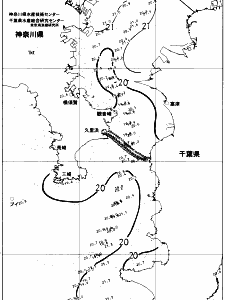 東京湾口海況図(2018/06/16)