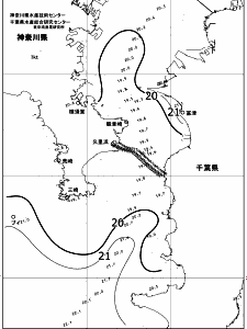 東京湾口海況図(2018/06/19)