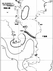東京湾口海況図(2018/06/20)