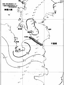 東京湾口海況図(2018/06/21)