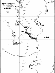 東京湾口海況図(2018/06/22)