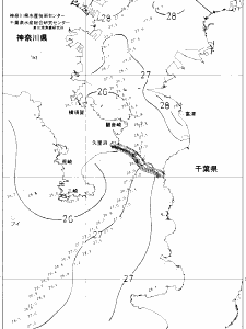 東京湾口海況図(2018/08/03)