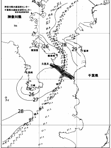 東京湾口海況図(2018/08/06)