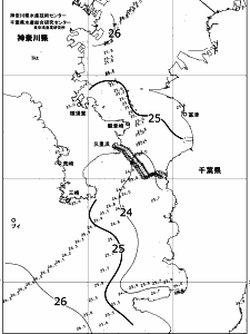 東京湾口海況図(2018/08/10)