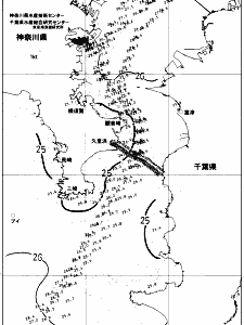 東京湾口海況図(2018/09/11)