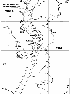東京湾口海況図(2018/10/02)