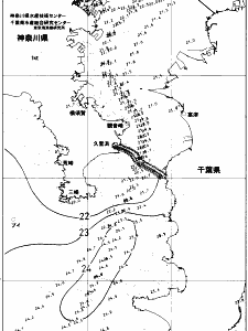 東京湾口海況図(2018/10/15)