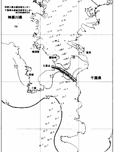東京湾口海況図(2018/11/30)