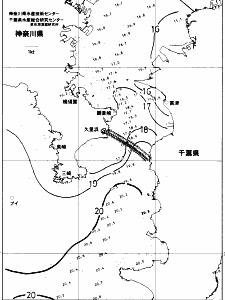 東京湾口海況図(2018/12/09)