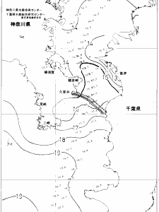 東京湾口海況図(2018/12/19)