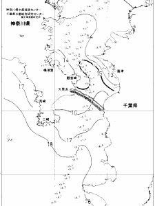 東京湾口海況図(2018/12/21)