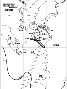 東京湾口海況図(2018/12/26)
