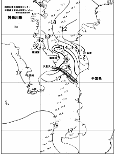 東京湾口海況図(2018/12/31)
