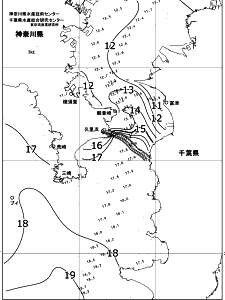 東京湾口海況図(2019/01/03)