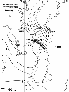 東京湾口海況図(2019/01/04)