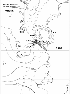 東京湾口海況図(2019/01/05)