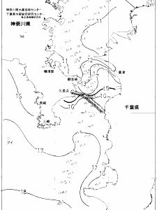 東京湾口海況図(2019/01/12)