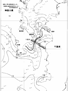 東京湾口海況図(2019/01/16)
