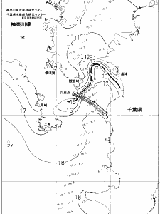 東京湾口海況図(2019/01/17)
