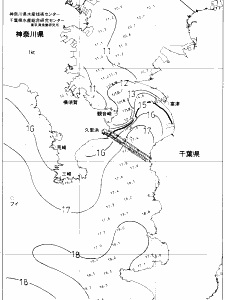 東京湾口海況図(2019/01/18)