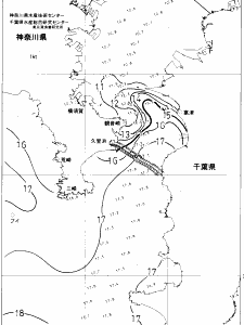 東京湾口海況図(2019/01/19)