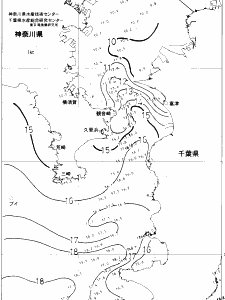 東京湾口海況図(2019/01/26)