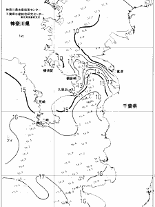 東京湾口海況図(2019/01/28)