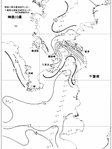 東京湾口海況図(2019/01/29)