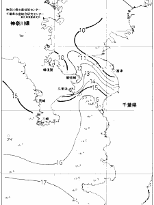 東京湾口海況図(2019/01/31)
