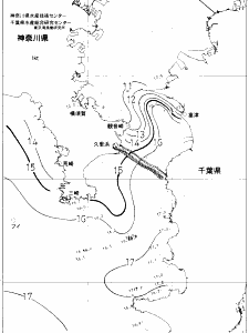 東京湾口海況図(2019/02/05)